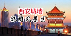 插bB网无码中国陕西-西安城墙旅游风景区
